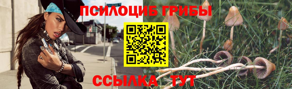 Псилоцибиновые грибы мухоморы  Вход с VPN  Кулебаки 